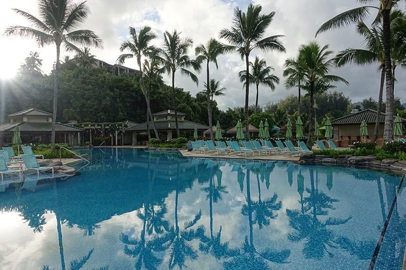Project Gallery Infinity-edge resort swimming pool with palm-lined pool deck
