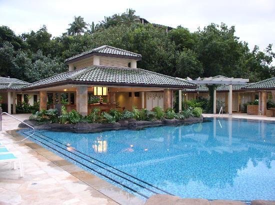 Project Gallery Lagoon-style pool with tiki bar pavilion and lava rock landscaping